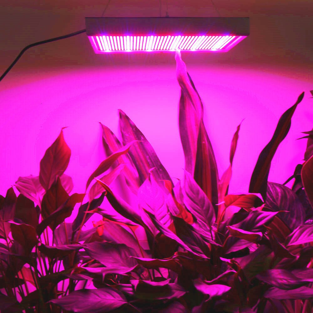 풀 스펙트럼 200W LED 성장 조명 2009LED 실내 텐트 온실 수경법 식물 성장 램프 도매, 2 팩